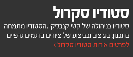 תמונת אווירה