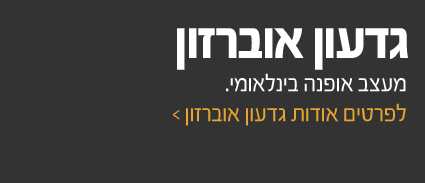 תמונת אווירה